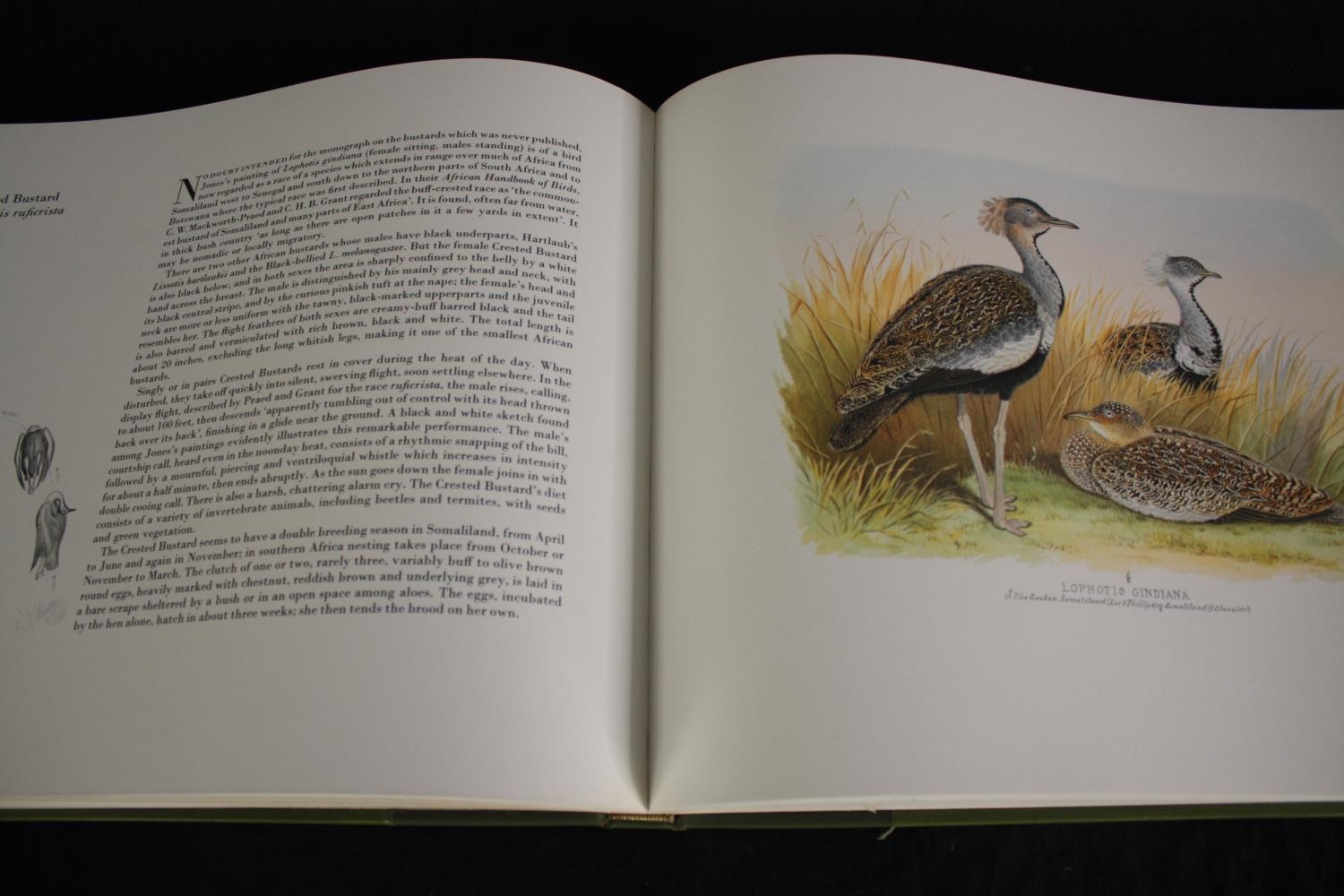 The Bird Paintings of Henry Jones by Bruce Campbell. First edition, published 1979 by Folio - Image 10 of 10