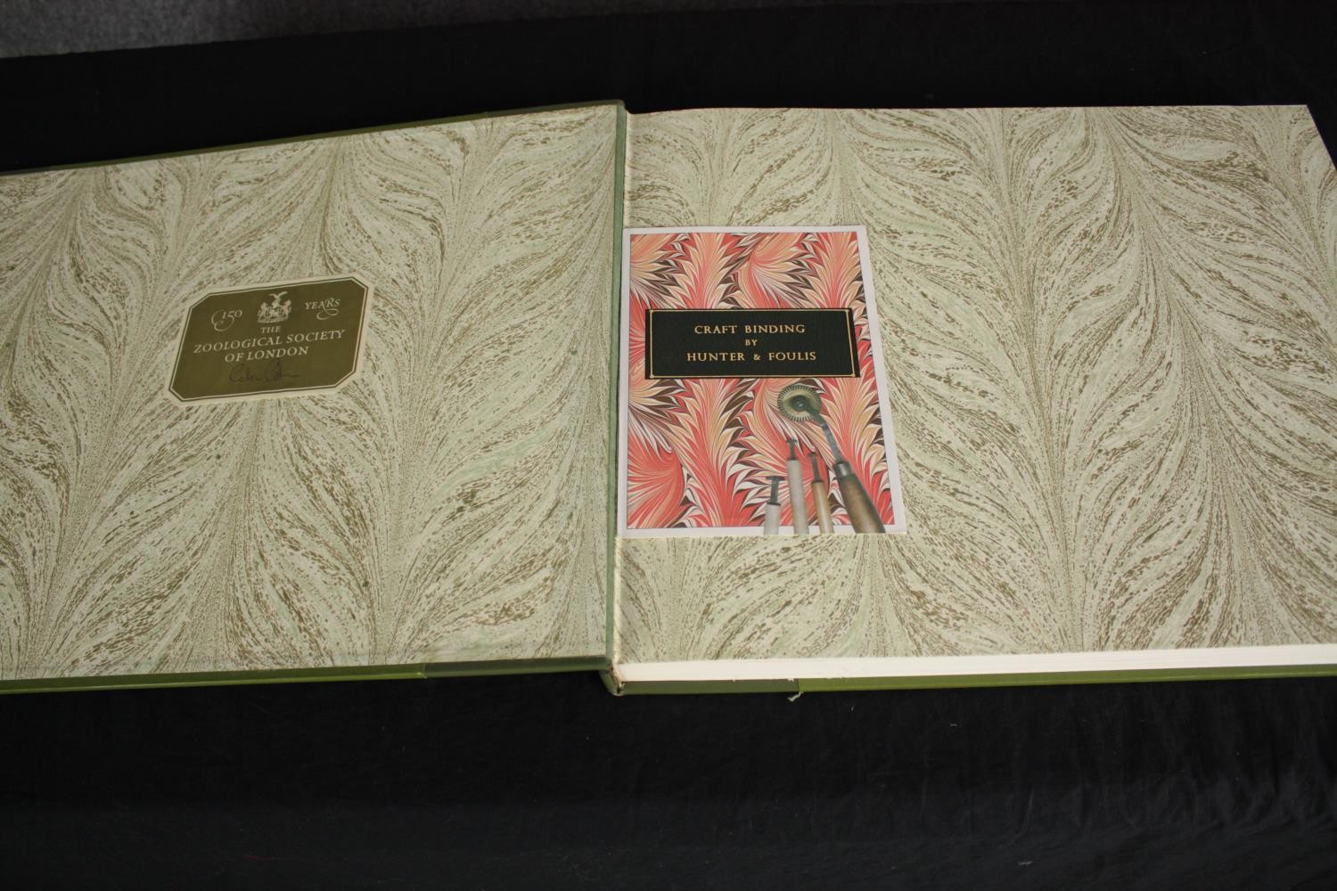 The Bird Paintings of Henry Jones by Bruce Campbell. First edition, published 1979 by Folio - Image 4 of 10