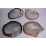 Four Oyster shells. H.23 W.22cm. (largest)