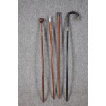 A collection of four walking canes. The darker stick with a silver collar and end. L.92cm. (longest)