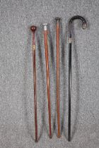 A collection of four walking canes. The darker stick with a silver collar and end. L.92cm. (longest)