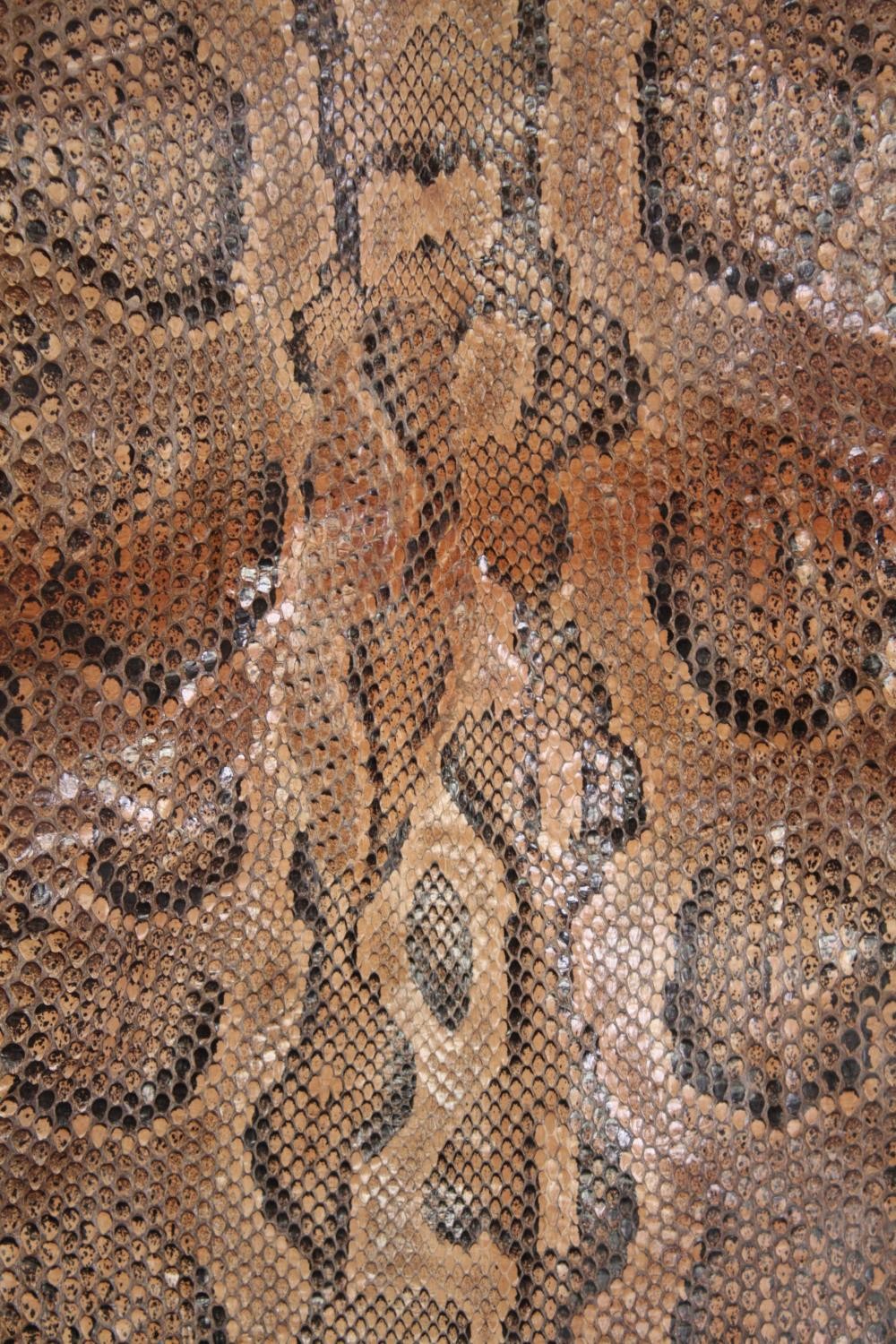 A very large Mid 20th century taxidermy Python snake skin. L.365 W.36cm. (widest) - Image 3 of 6