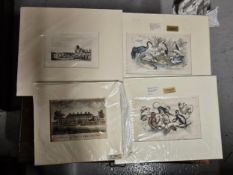 Four mounted nineteenth century prints. A View of Bedford House and an etching of Monkeys and Apes