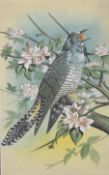 A framed and glazed painting on fabric of a cuckoo in the blossom tree, unsigned. H.36 W.26cm.