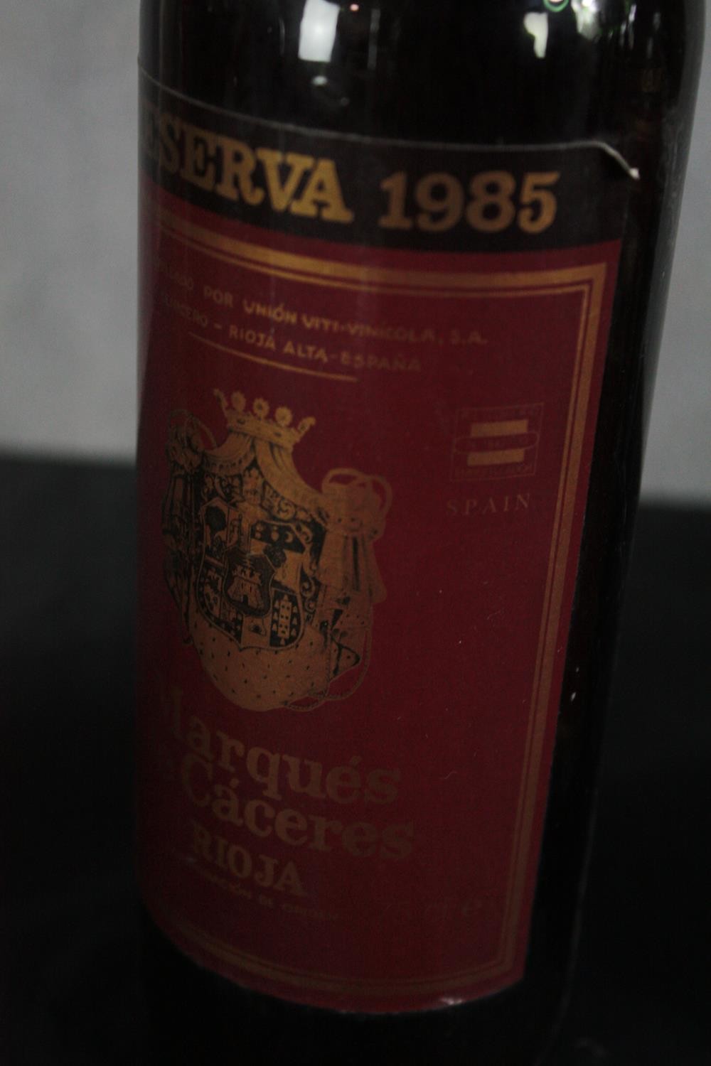 Twelve bottles of Rioja wine mostly dating from the 80s. Including Marques de Caceres and other - Image 9 of 9
