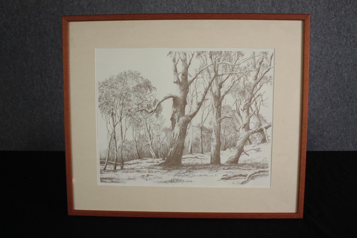 Lithograph. Signed indistinctly and dated. Framed and glazed. H.46 W.54 cm. - Image 2 of 5