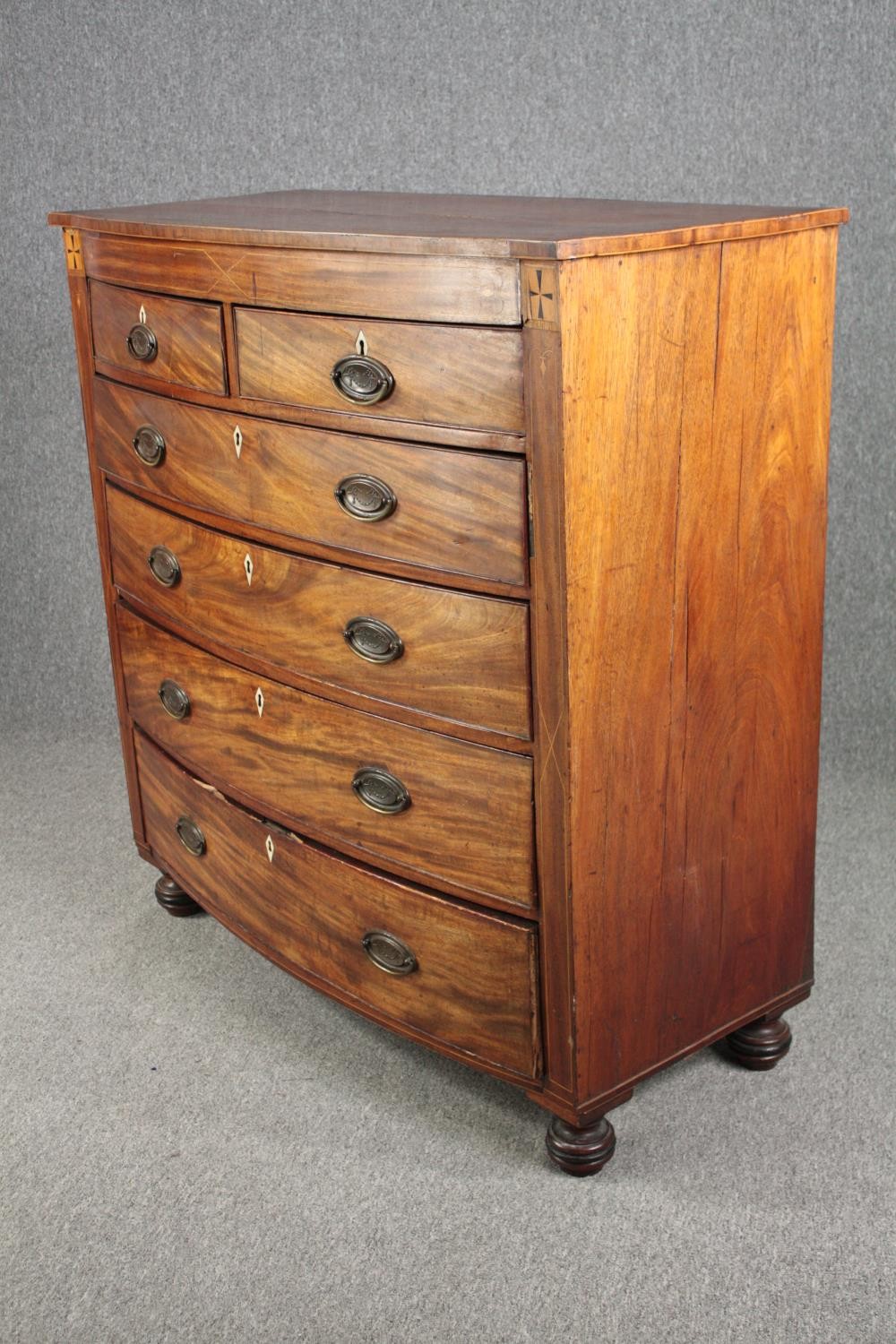 Chest of drawers, 19th century mahogany bowfronted with satinwood and ebony inlay. H.124 W.118 D. - Image 4 of 7