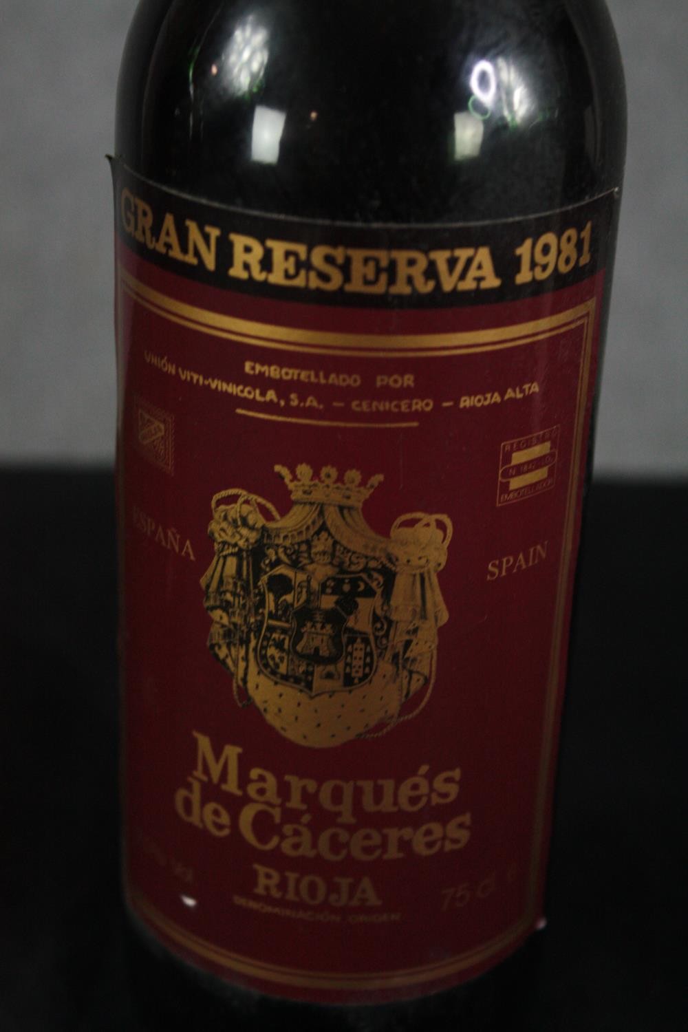 Twelve bottles of Rioja wine mostly dating from the 80s. Including Marques de Caceres and other - Image 7 of 9