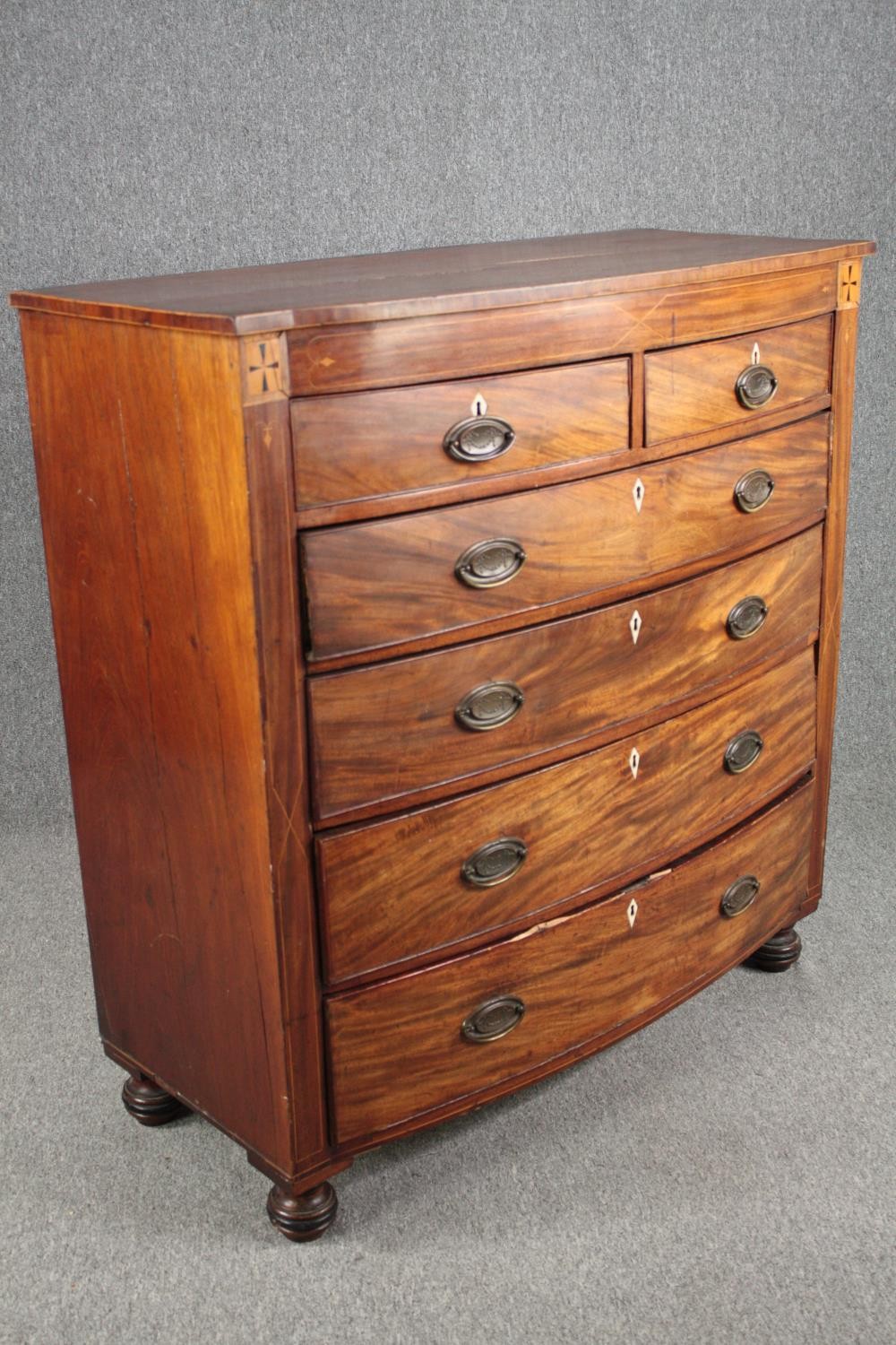 Chest of drawers, 19th century mahogany bowfronted with satinwood and ebony inlay. H.124 W.118 D. - Image 3 of 7