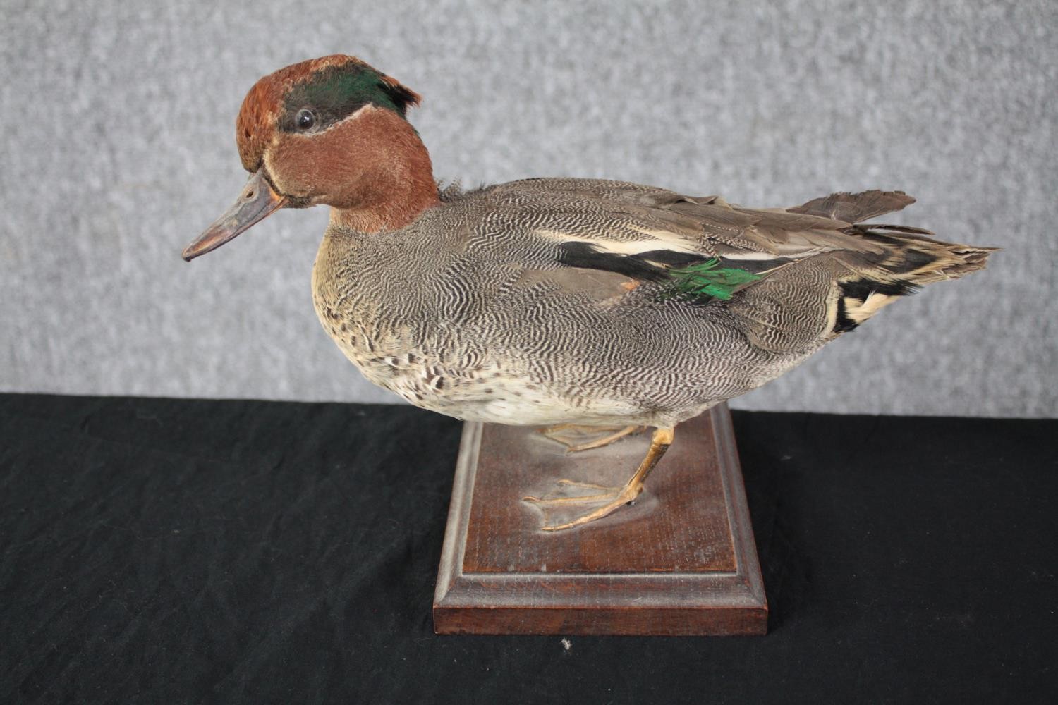 Taxidermy. A pair of ducks standing on wooden bases. A mallard and his mate. H.28cm. (largest) - Image 2 of 7