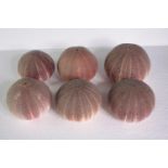 WITHDRAWN - A collection of six sea urchins. H.12 W.16cm. (largest)