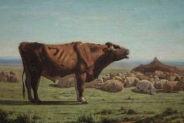 Oil painting on canvas. A bull with sheep in the background. Probably Scottish. Unsigned.