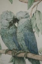 Lithograph. Two parrots. Framed and glazed. H.60 W.49cm.