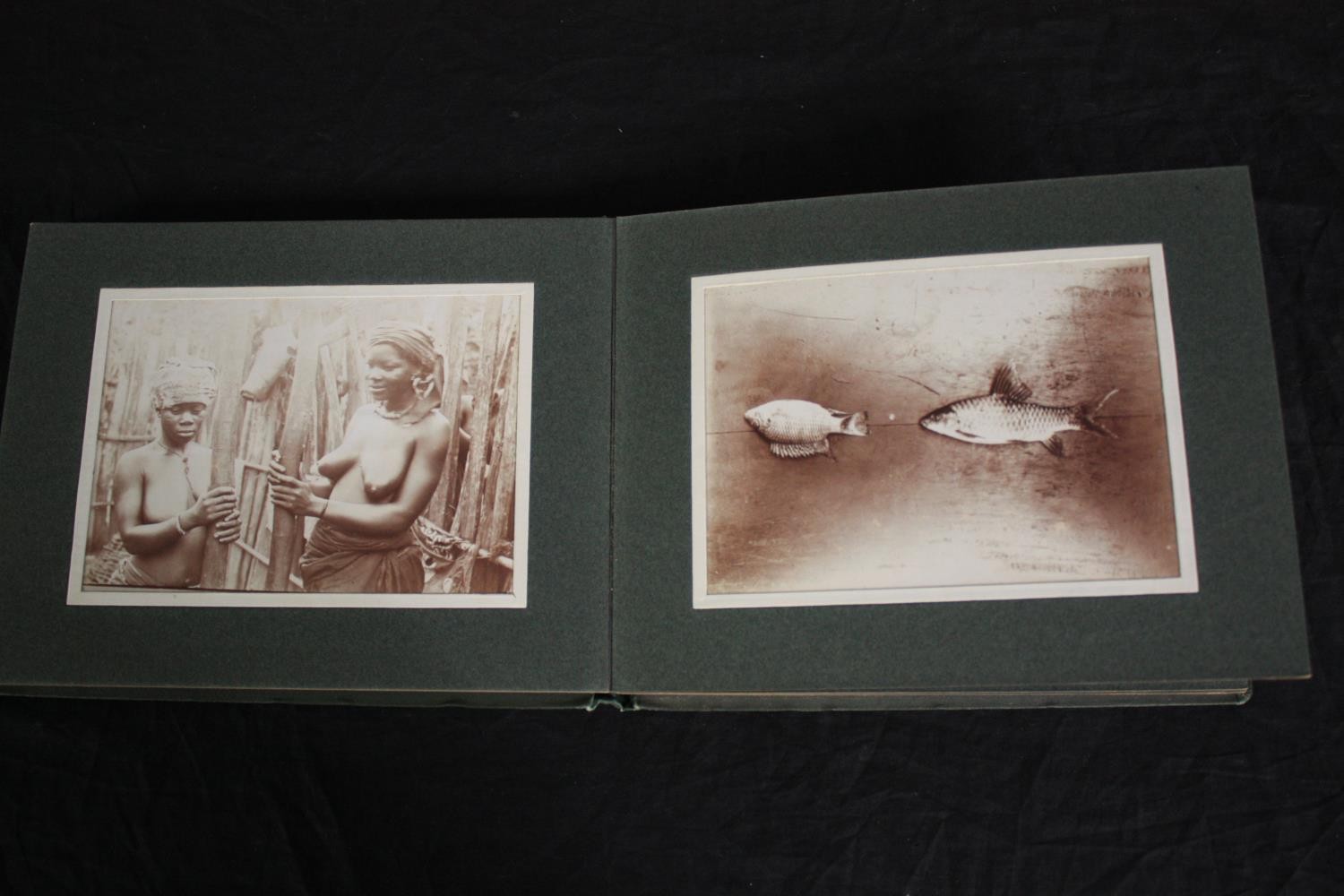 Two Ghanaian photograph albums of tribal communities, tribal art, animals and flora. Dated - Image 7 of 8