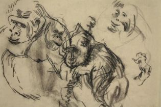 A charcoal study of apes. Signed 'John Matthews lower right and dated 1994. Mounted and unframed.