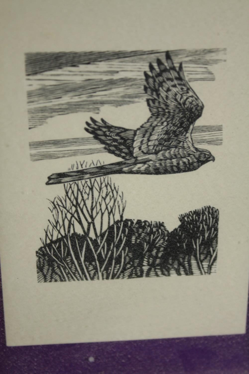 Three framed linocuts. Birds. Unsigned. Framed and glazed. H.25 W.23cm. (largest) - Image 2 of 4