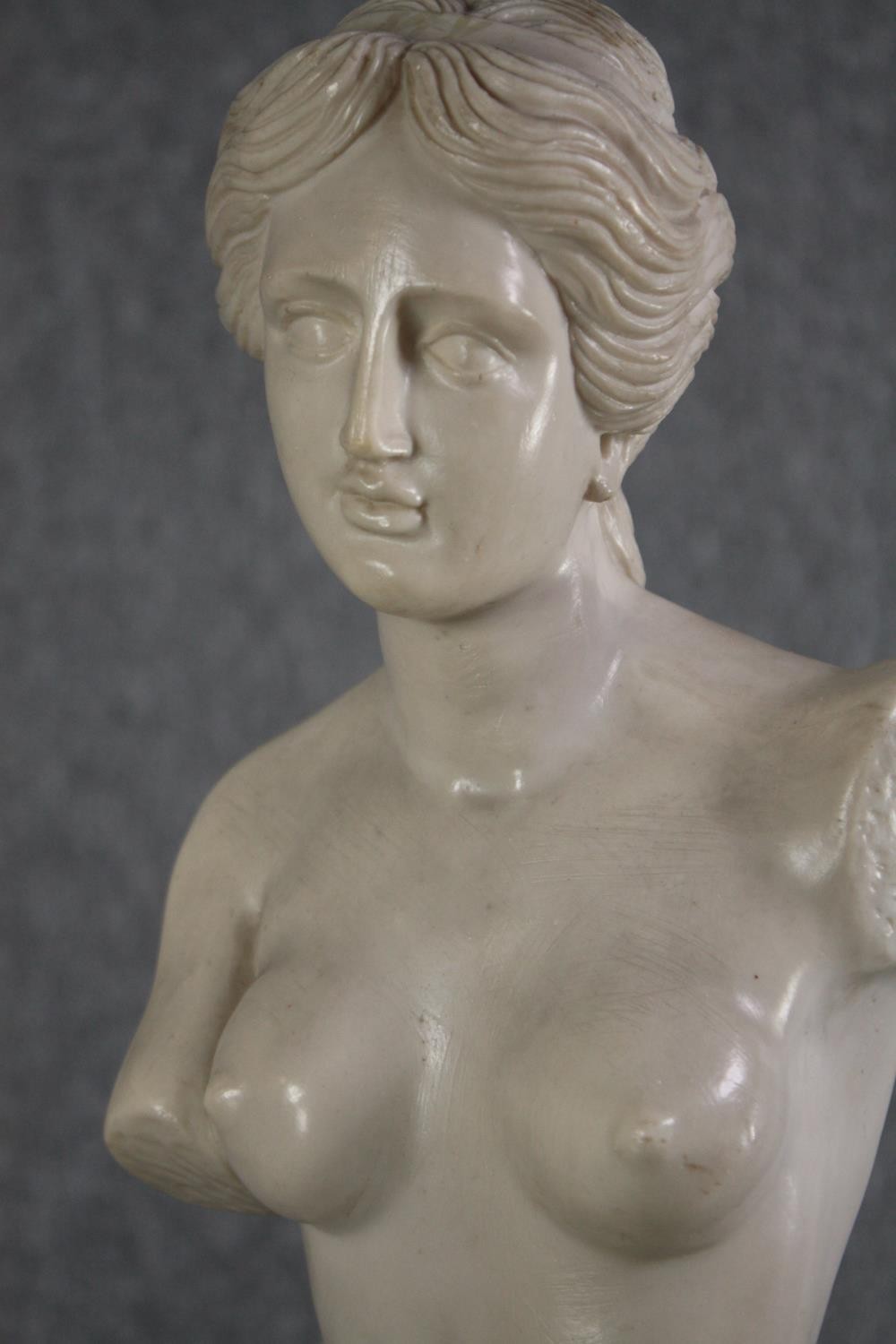 The Venus de Milo. A large statue with some weight. Probably resin. On wooden plinth. H.79cm. - Image 4 of 4