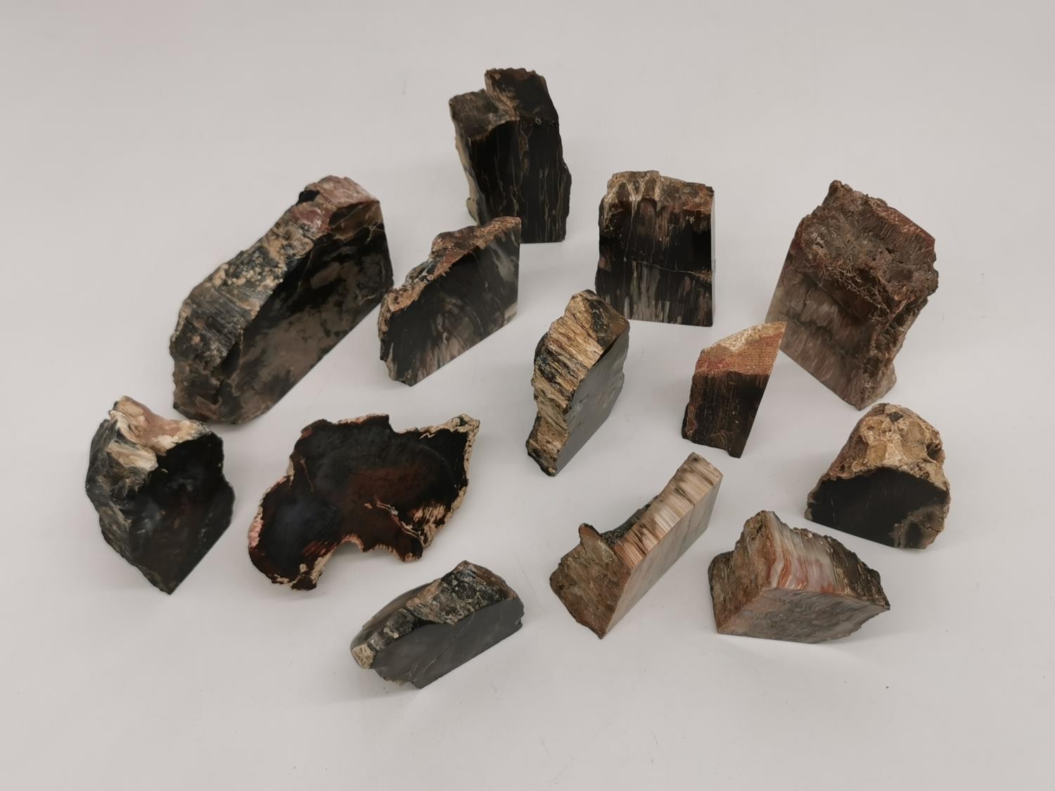 A collection of thirteen polished petrified wood pieces. Largest H.10.5cm - Image 3 of 5