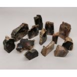 A collection of thirteen polished petrified wood pieces. Largest H.10.5cm