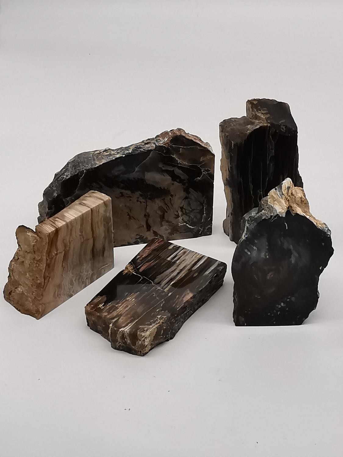 A collection of thirteen polished petrified wood pieces. Largest H.10.5cm - Image 2 of 5