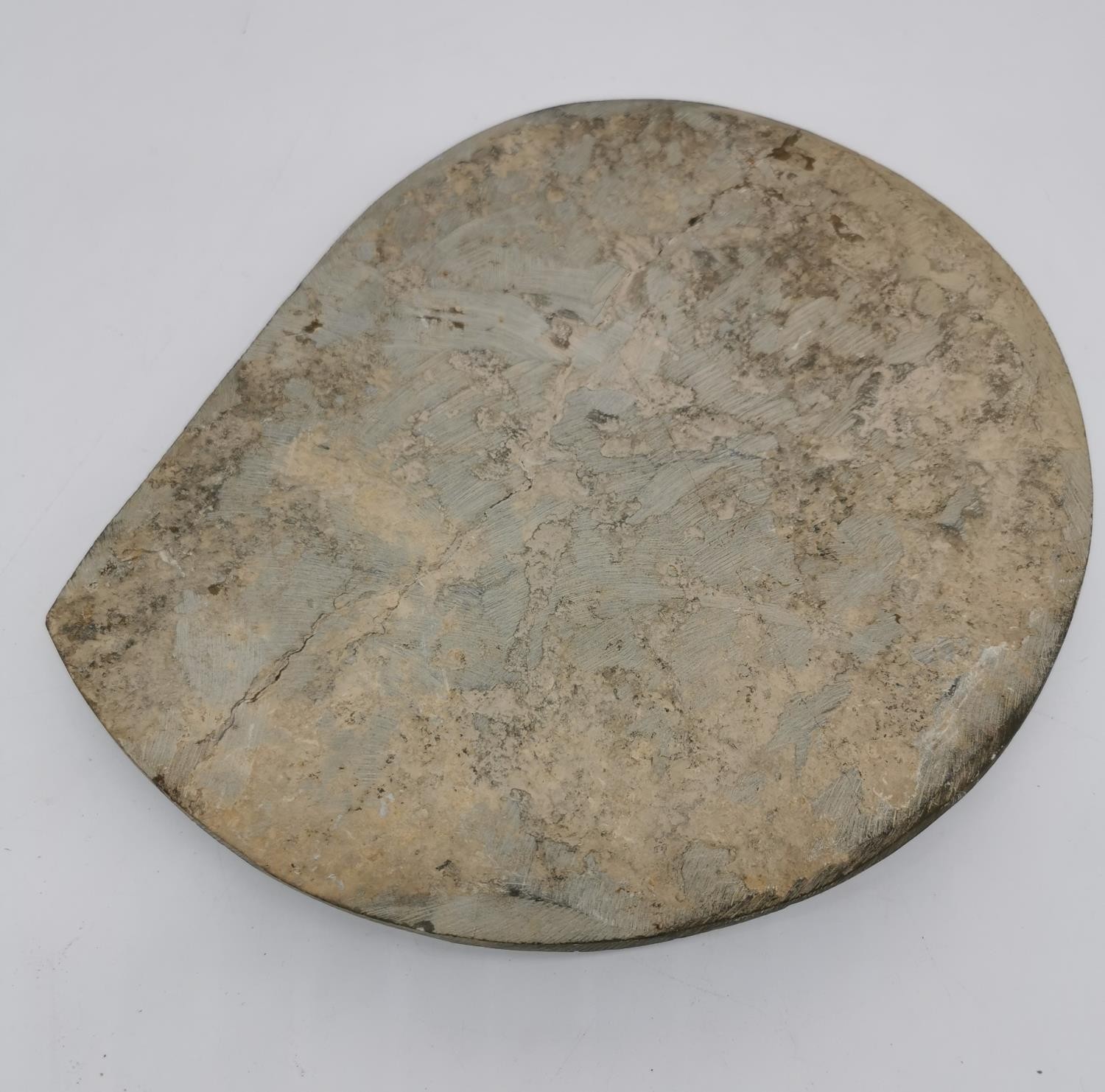 A large polished fossilized Ammonite. H.25 W.29cm - Image 2 of 2