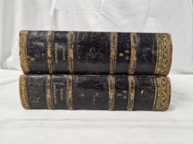 Dictionnaire National. French language. 1848. Two volumes complete. 1683 pages.
