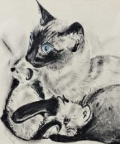 A framed and glazed pastel of a Seal point Siamese mother and her two kittens, signed Joan Brooks.