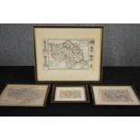 A collection of hand coloured eighteenth century maps of Denbigh and Flintshire, Radnorshire, and