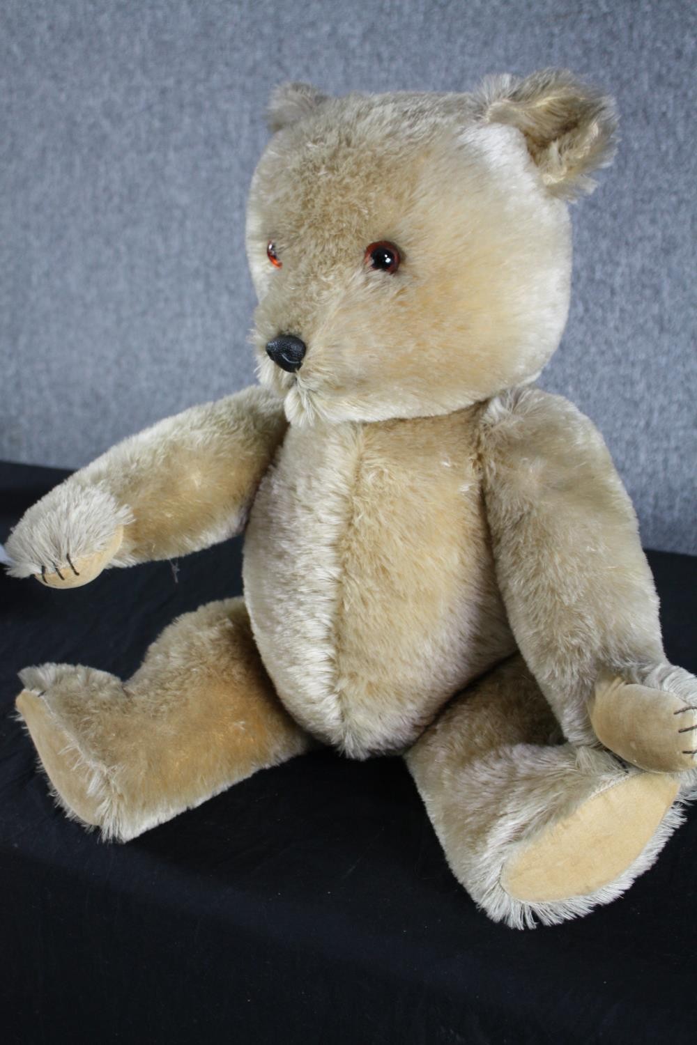 An early 20th century large Teddy Bear with jointed limbs. Unnamed and without a label. H.69cm. - Image 3 of 5