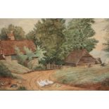 Watercolour. A rural cottage scene with ducks. Unsigned. Framed and glazed. H.48 W.65cm.