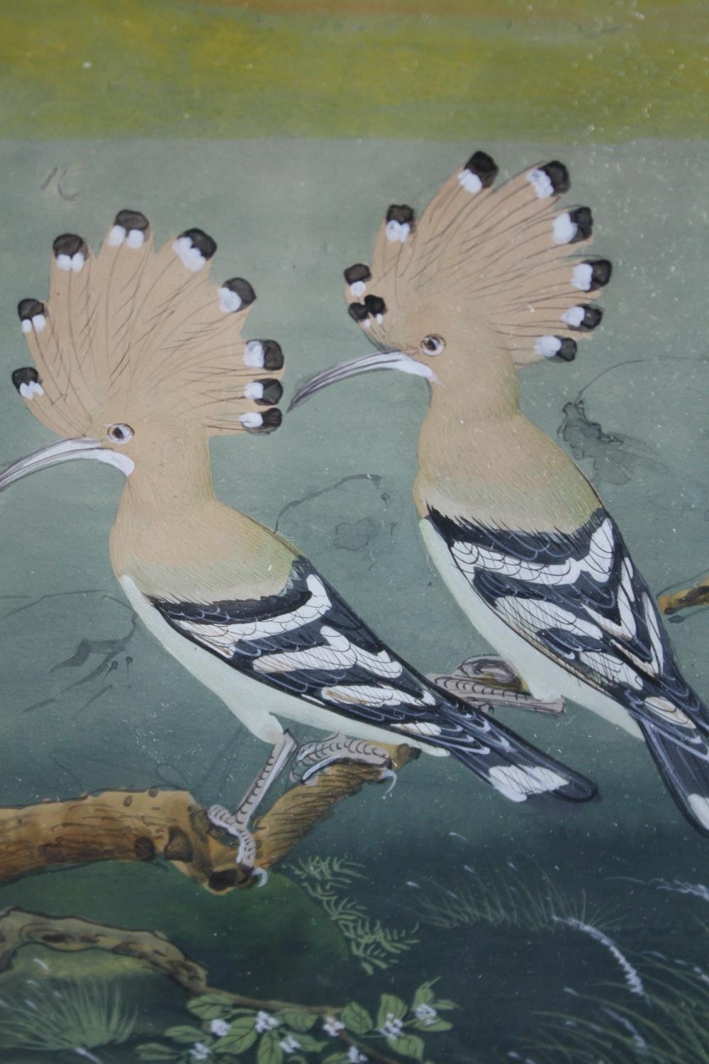 Three early 20th century Indo-Persian gouaches on parchment paintings. One of a pair of Hoopoes with - Image 2 of 5