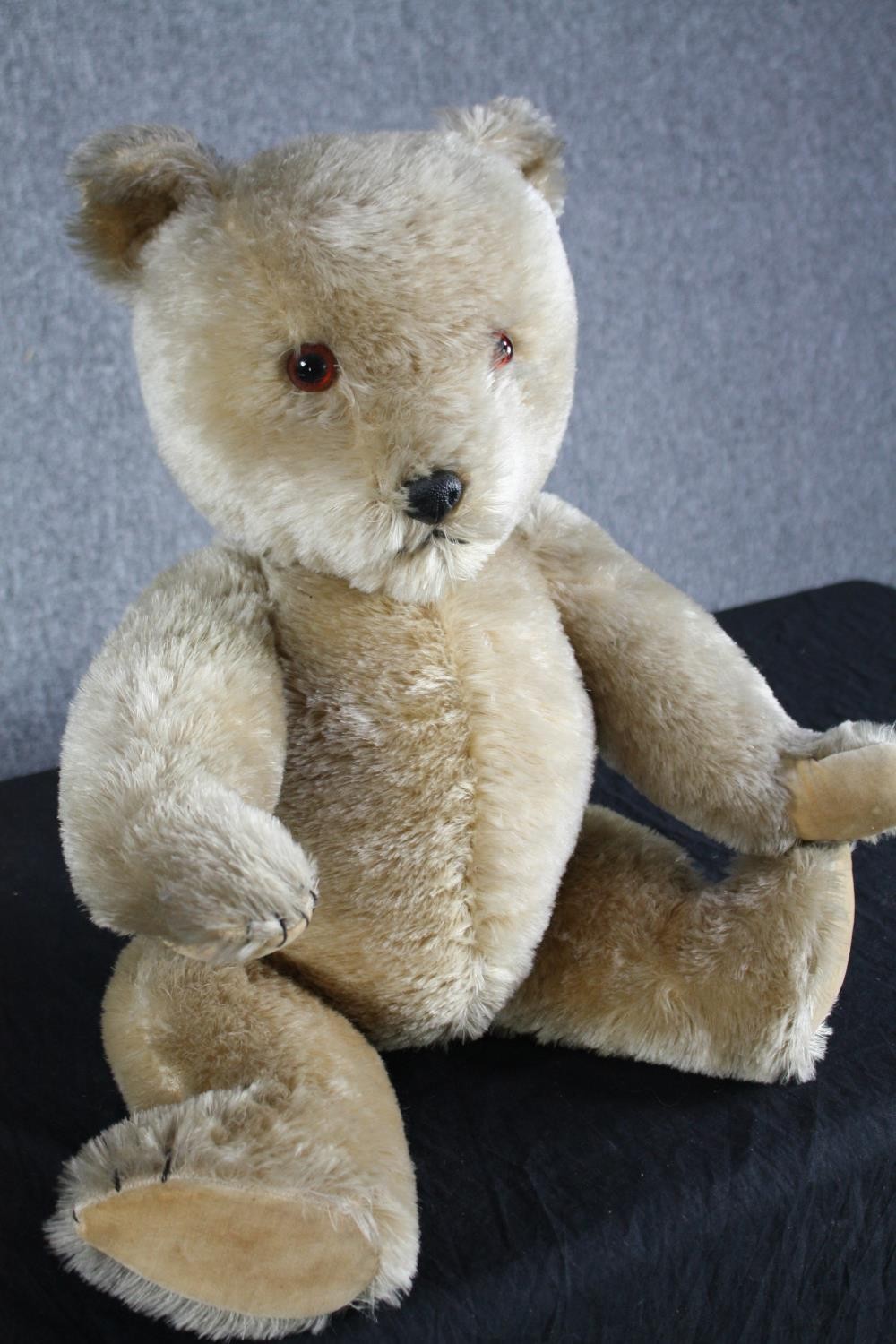 An early 20th century large Teddy Bear with jointed limbs. Unnamed and without a label. H.69cm. - Image 2 of 5