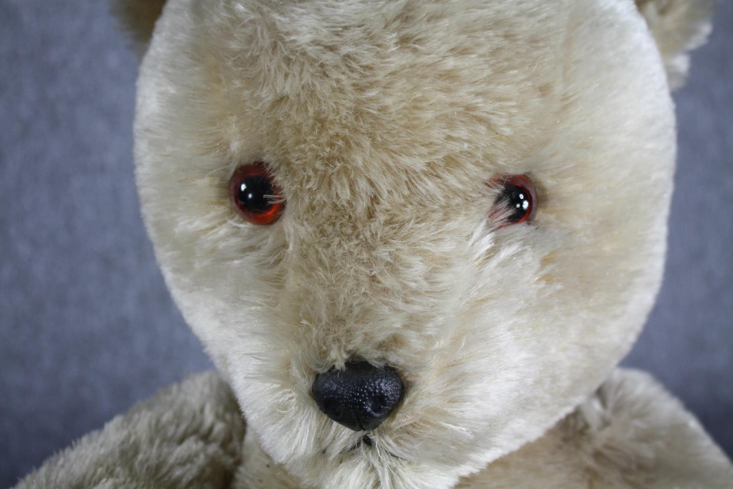 An early 20th century large Teddy Bear with jointed limbs. Unnamed and without a label. H.69cm. - Image 4 of 5