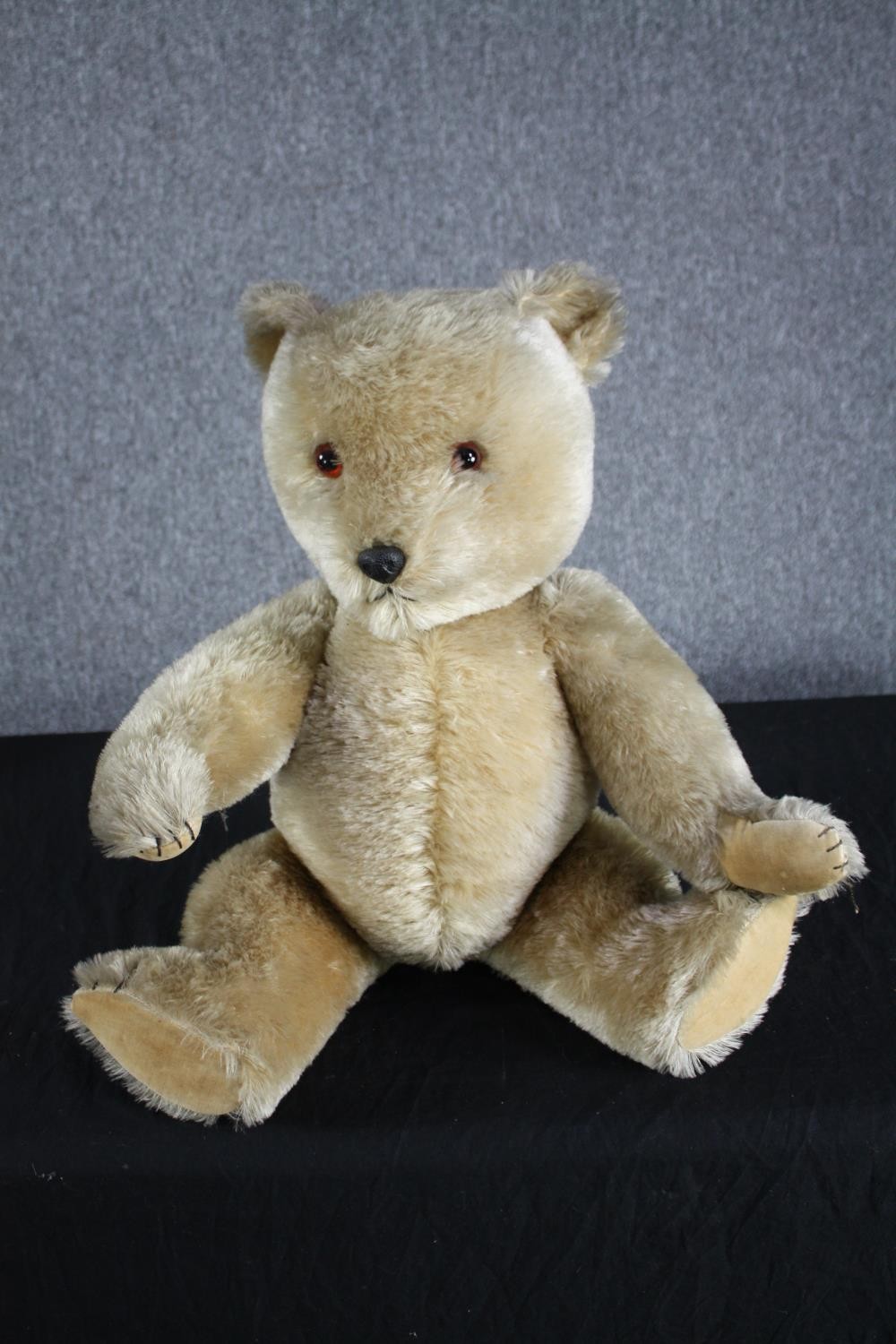 An early 20th century large Teddy Bear with jointed limbs. Unnamed and without a label. H.69cm.
