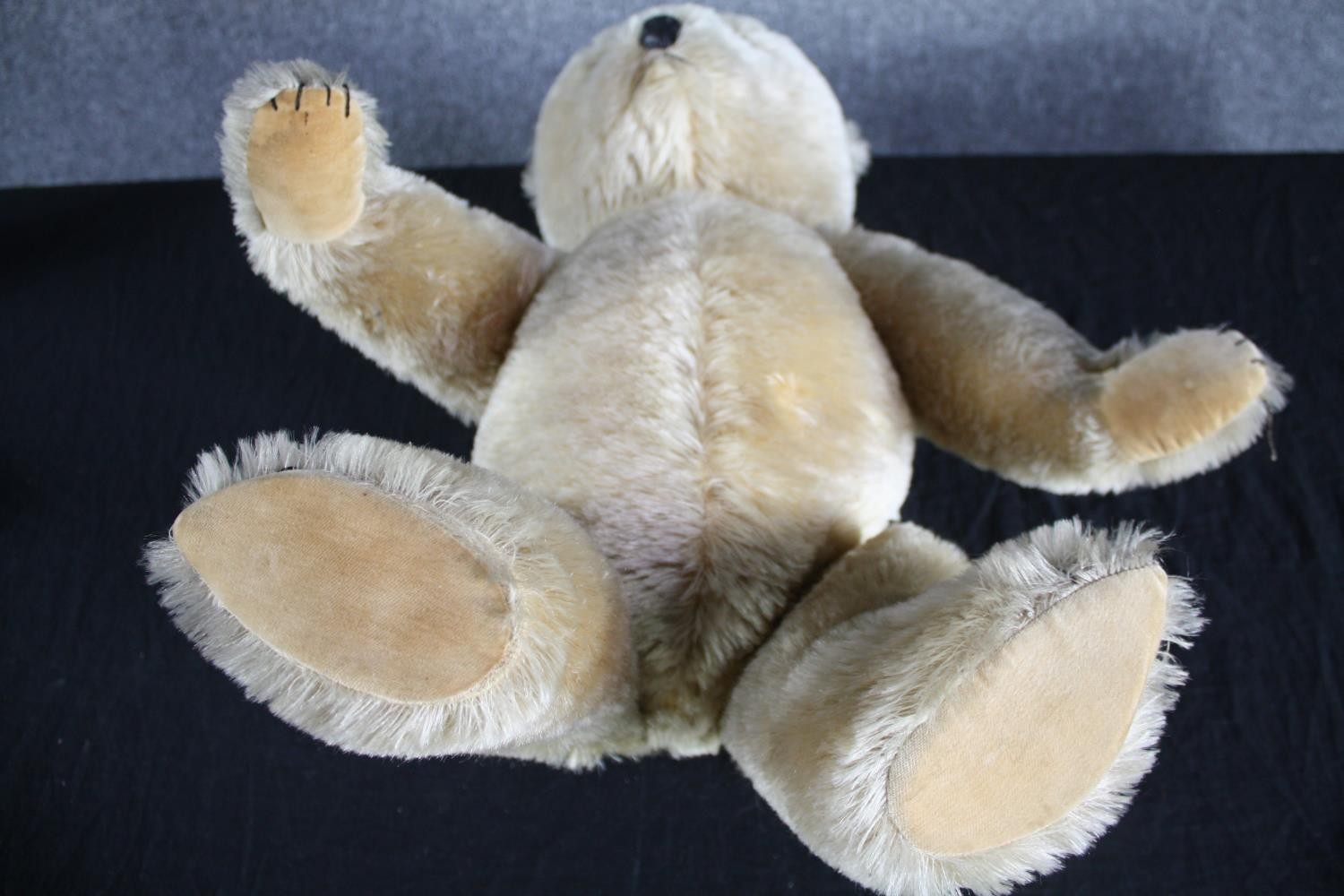 An early 20th century large Teddy Bear with jointed limbs. Unnamed and without a label. H.69cm. - Image 5 of 5