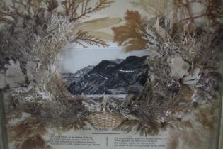 A Victorian seaweed basket collage. Dried seaweed onto an engraved mountain print. Unsigned.