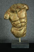 A modern fibreglass classical torso in a gold finish. H.67cm.