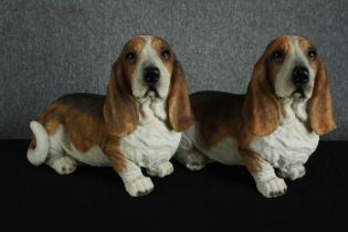 A pair of Basset hounds figures. Moulded and hand painted. H.40 W.55cm. (each)