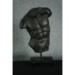 A modern fibreglass classical torso in a black finish. H.67cm.