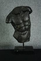 A modern fibreglass classical torso in a black finish. H.67cm.