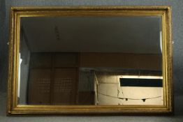 Wall mirror, large contemporary in gilt foliate frame with bevelled plate. H.135 W.200cm.