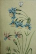 An early 20th century Indian watercolour study of a flowers and a butterfly. Unsigned. Framed and