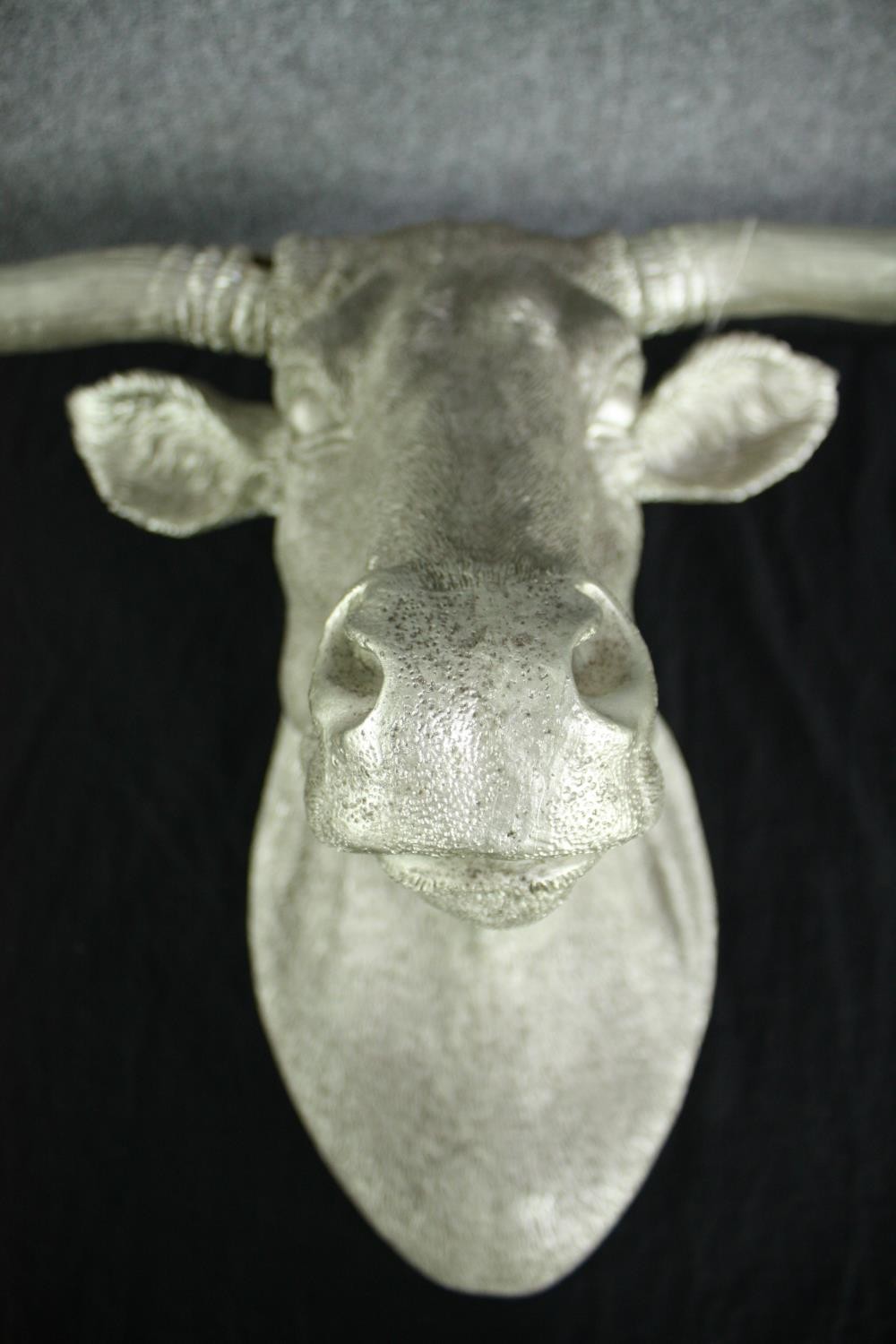 A fibreglass horned bulls head finished in silver. H.54 W.73cm. - Image 3 of 4