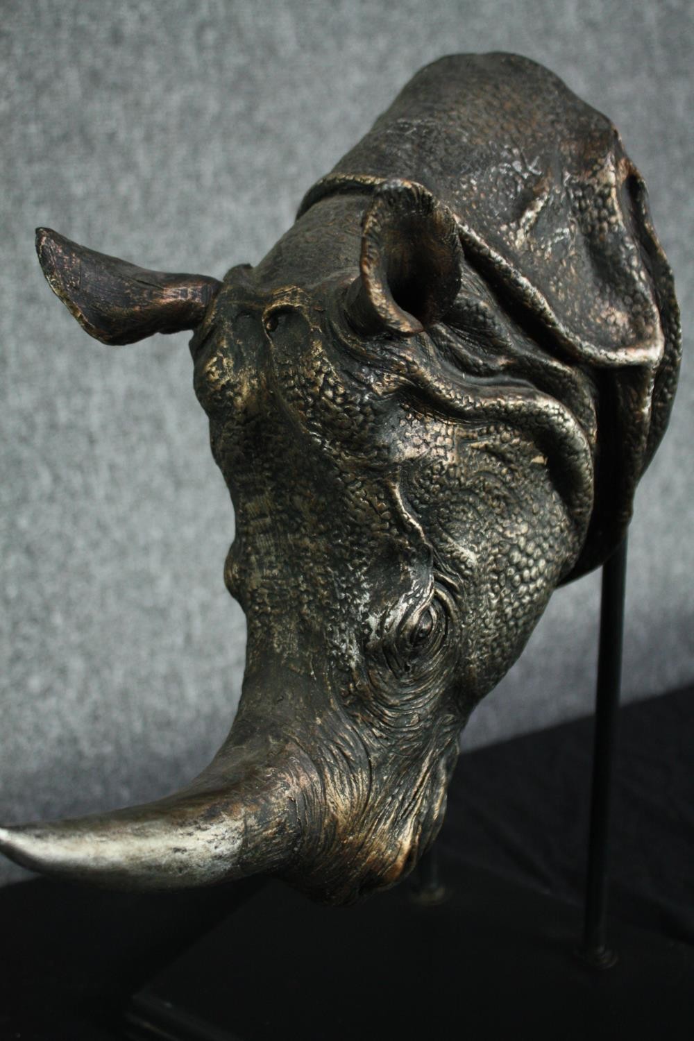 A moulded Rhino head on a wooden display stand. H.40cm.