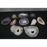 A collection of nine agate geode slices, some dyed. L.23cm. (largest)