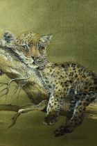 Mark Fennell. A sleeping leopard cub. A foil art print. Signed lower left. Framed and glazed. H.45