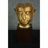 A gold painted terracotta Buddha's head mounted on a black wooden plinth. H.40cm.