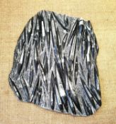 A collection of fossilized belemnites in one slab, rough hewn with polished sections. L.59 W.52cm