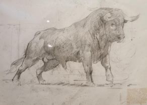 A framed and glazed pencil on paper of a standing male bull, unsigned. H.49 W.56cm