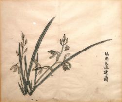 A Chinese 18th century framed and glazed wood block print, 'Stiff upright orchid', book plate from